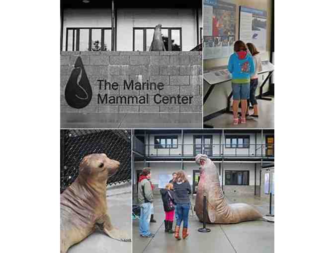 Pass for Two to The Marine Mammal Center