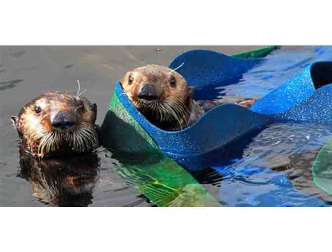 Pass for Two to The Marine Mammal Center