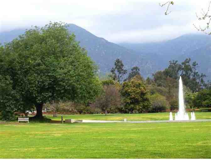 $25 Discount Towards a Membership at The LA Arboretum