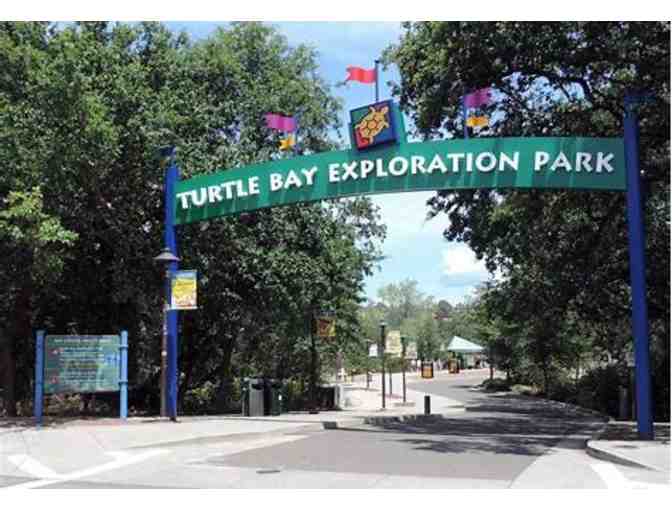 Two Passes to the Turtle Bay Exploration Park