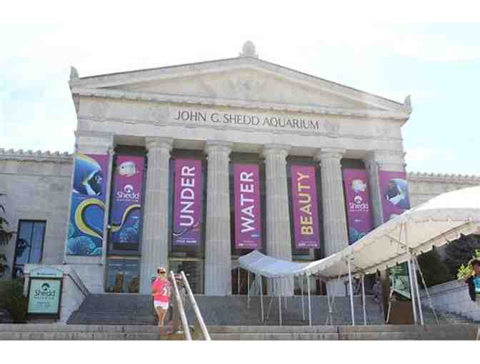 Four Passes to the Shedd Aquarium