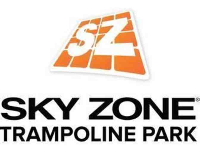 Passes for Three to the Sky Zone - Photo 1