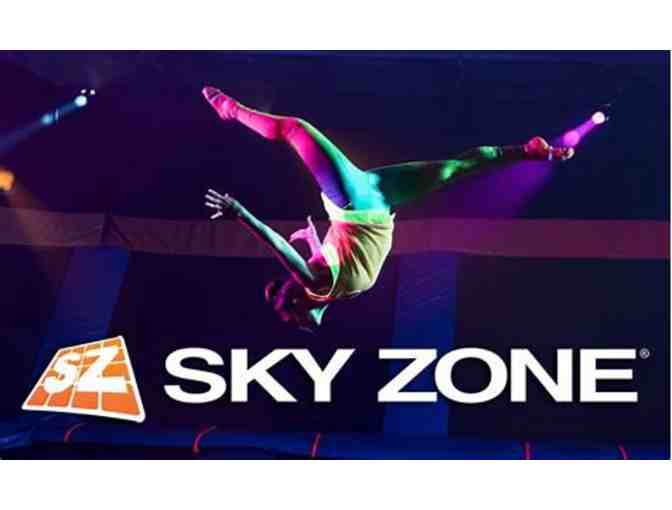 Passes for Three to the Sky Zone - Photo 2
