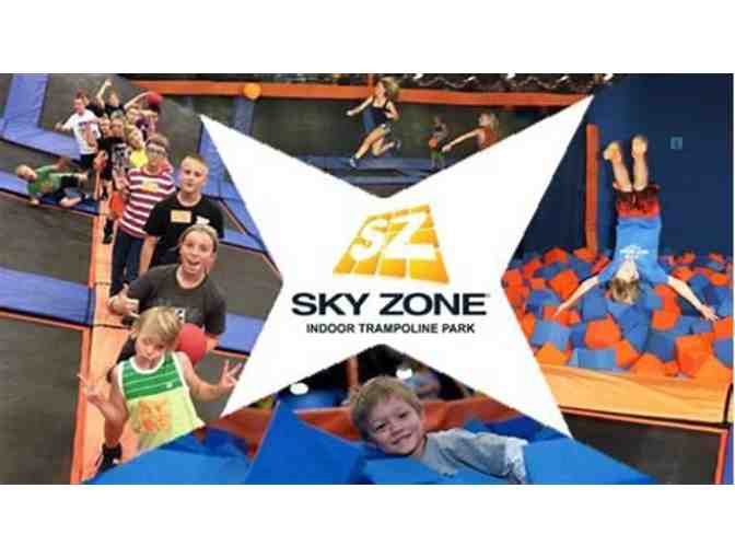 Passes for Three to the Sky Zone - Photo 3