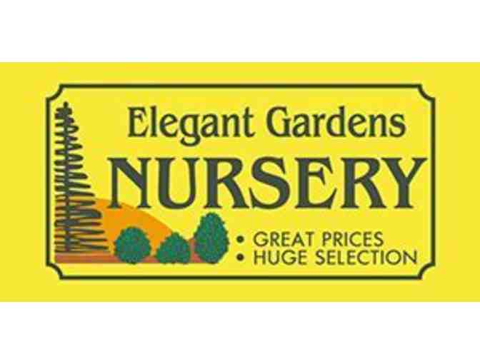 $50 Gift Card to Elegant Gardens Nursery (2 of 2)
