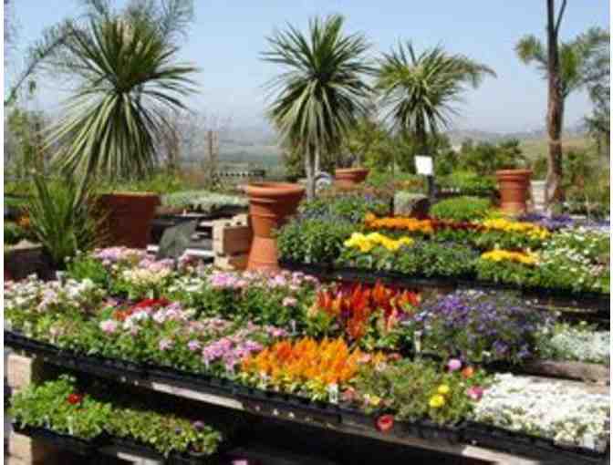 $50 Gift Card to Elegant Gardens Nursery (2 of 2)