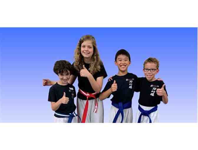Two Week Membership to Newbury Park Martial Arts Center (1 of 2)