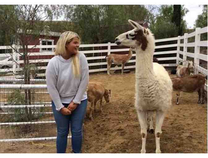 Passes for Five to visit The Gentle Barn (2 of 2)