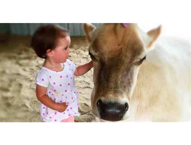 Passes for Five to visit The Gentle Barn (2 of 2)