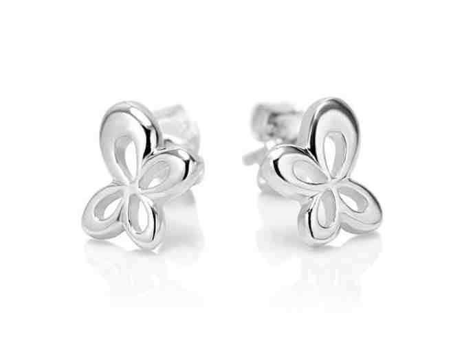 Large Lot of Earrings