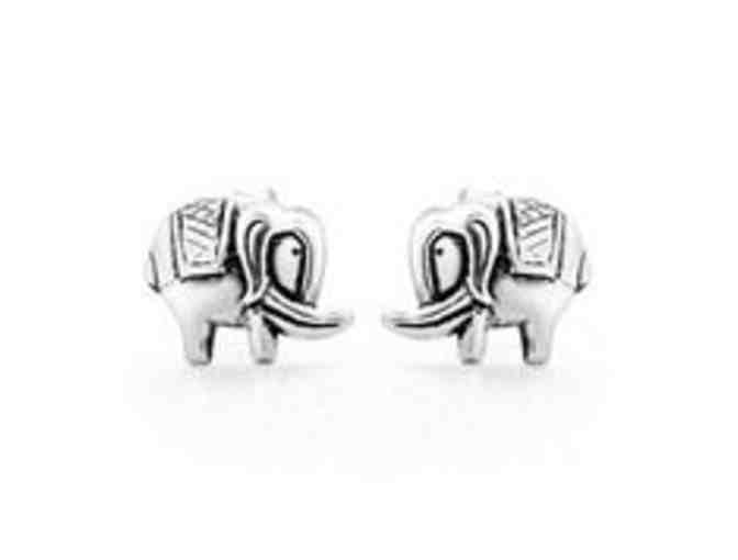 Large Lot of Earrings for Girls