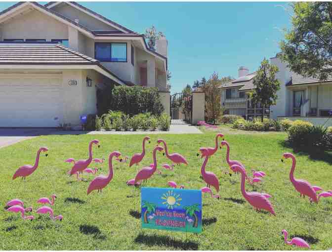 Flamingo Lawn Party