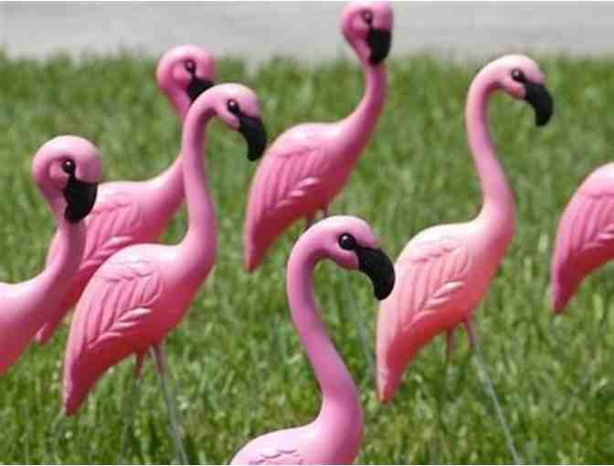 Flamingo Lawn Party - Photo 2