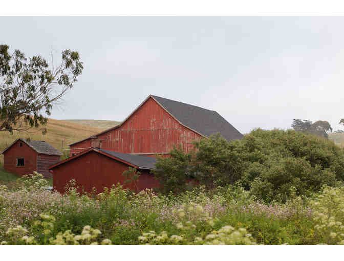 2 Night Stay at Straus Home Ranch (for up to 8 people)