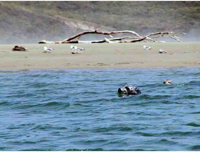 Blue Waters Kayaking Inverness, CA (Yorty Area)
