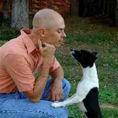 Tod McVicker @ Redeeming Dogs