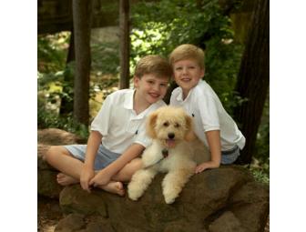 Family Portrait 11 x 14'- Pets welcome!