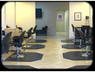 Denise Donnelly Colors, Cuts and Styles Your Hair at The Phoenix Salon and Spa