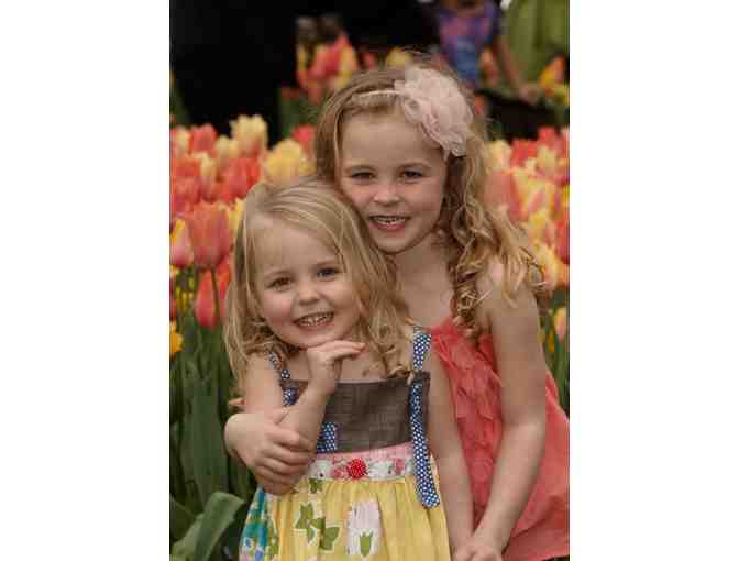 11x14 Family Portrait.