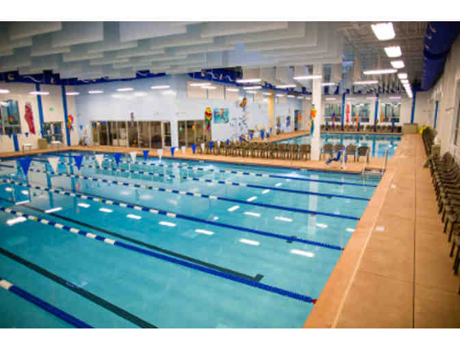 WaterWorks Aquatics - 4 Semi-Private Swim Lessons
