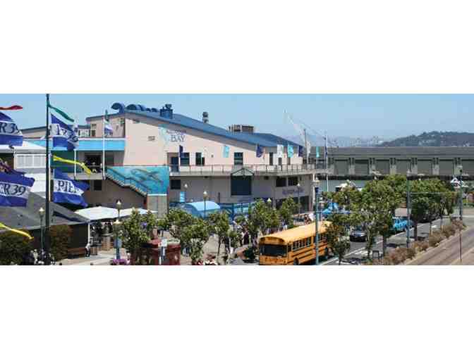 Discover the Bay at the Aquarium of the Bay in San Francisco