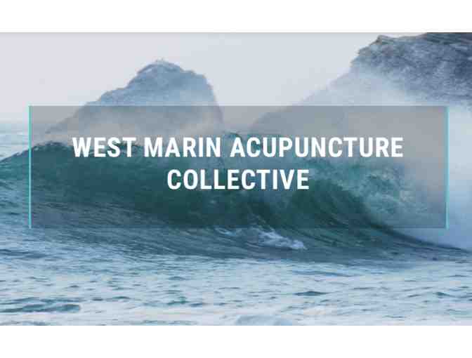 1 Acupuncture Session with Alexis Richardson of West Marin Acupuncture Collective