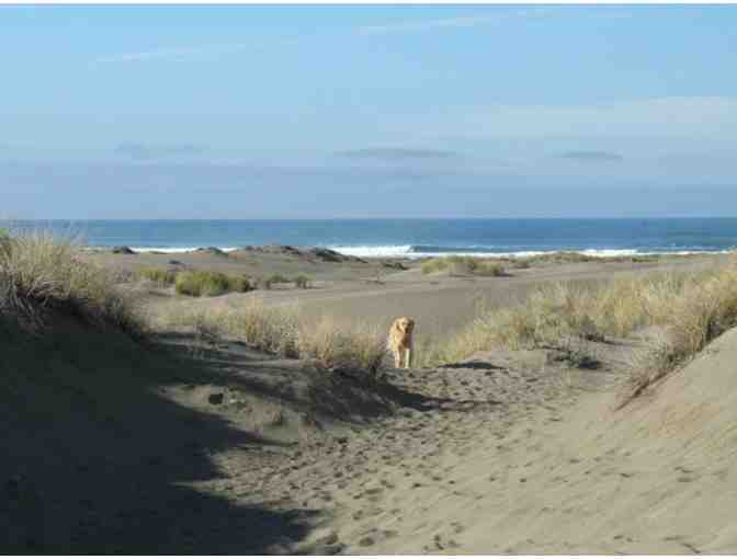 2 Night Stay At Tranquil Zen Sanctuary In Fort Bragg Sunbelt