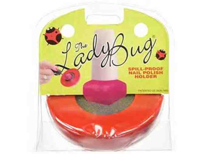 Ladybug Gift Set