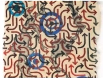 PM 12 - Carol Brown Goldberg