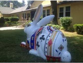 Ace the White Rabbit