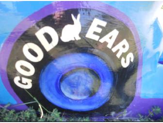 Peter Hamilton's Race Car Rabbit