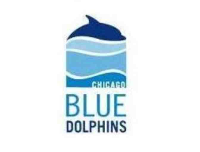 Blue Dolphins Swim Studio - Two Private Lessons