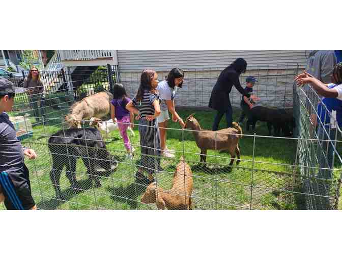 Petting Zoo and Pony Party - Open to all grades!