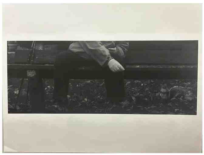 Student Art: Squirrel Series by Cassidy Canaval