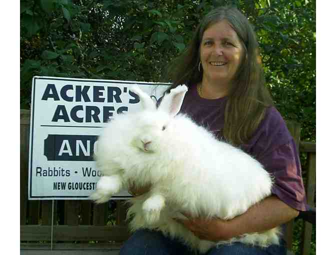 Acker's Acres Angoras Handspun yarn , 1 Skein (Green)