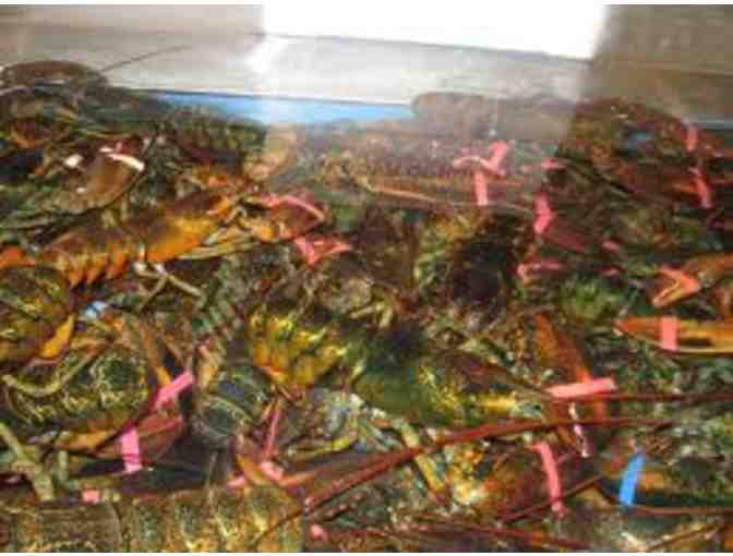 4 Lobsters Shipped from Harbor Fish Market