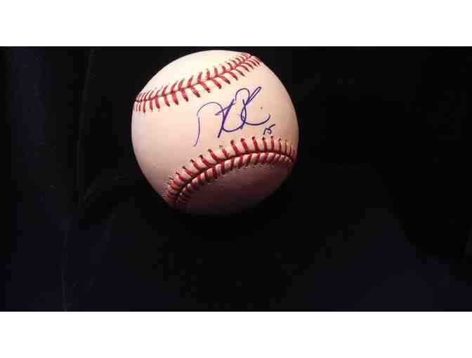 Dustin Pedroia Autographed Baseball