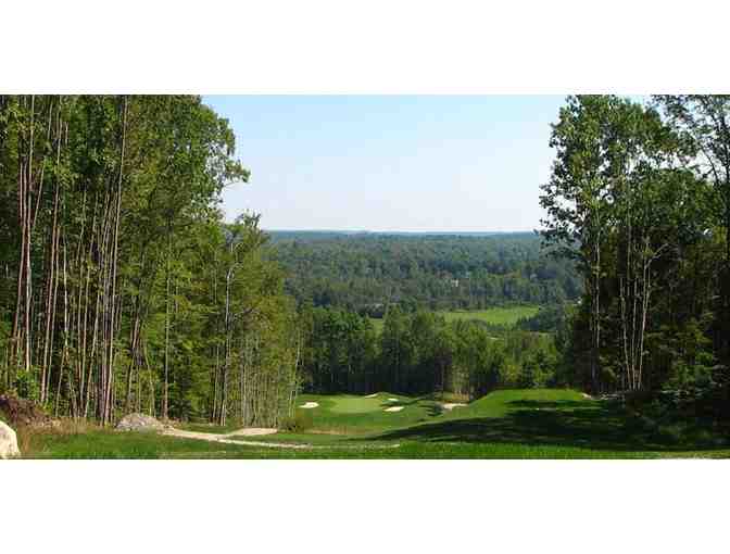 4 Rounds of Golf at Toddy Brook Golf Course