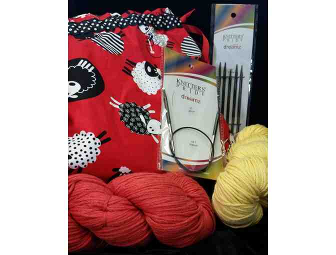 Knitting Kit from Mother of Purl Yarn Shop