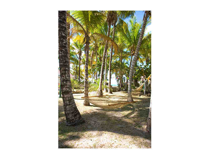 7 Nights Accommodations at Palm Island Resort, The Grenadines