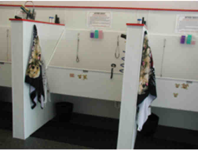 $35 GIFT CERTIFICATE TO TOP DOG PROFESSIONAL GROOMING