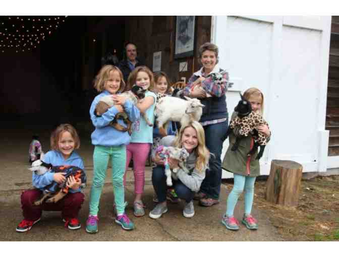 SUNFLOWER FARM PRIVATE GOAT SNUGGLING