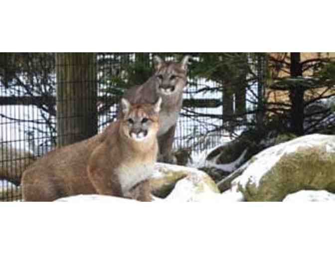 4 PACK OF PASSES TO THE MAINE WILDLIFE PARK