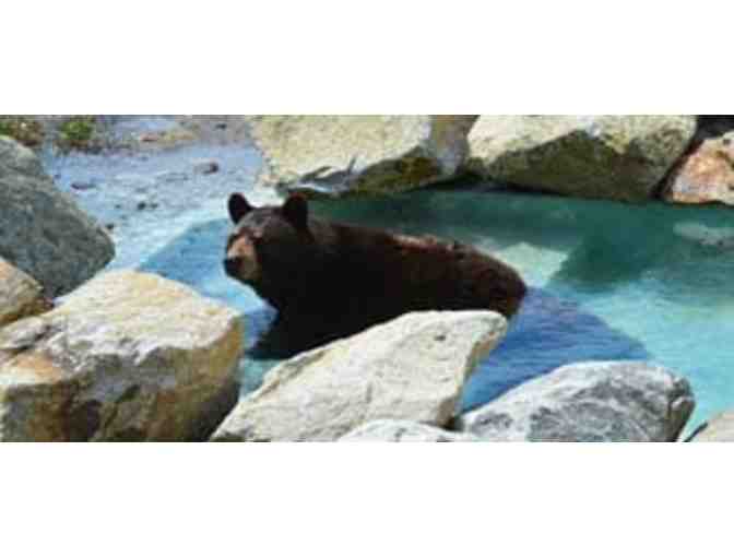 4 PACK OF PASSES TO THE MAINE WILDLIFE PARK