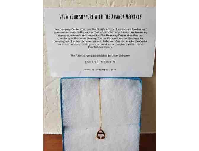 AMANDA DEMPSEY CHARITY NECKLACE (14k GOLD)