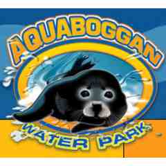 Aquaboggan Water Park