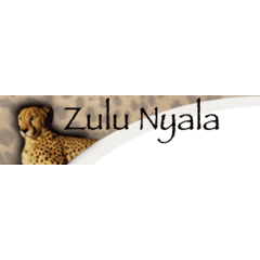 Zulu Nyala