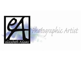 Elizabeth Adams Photography - Photography Session with Three 8x10s
