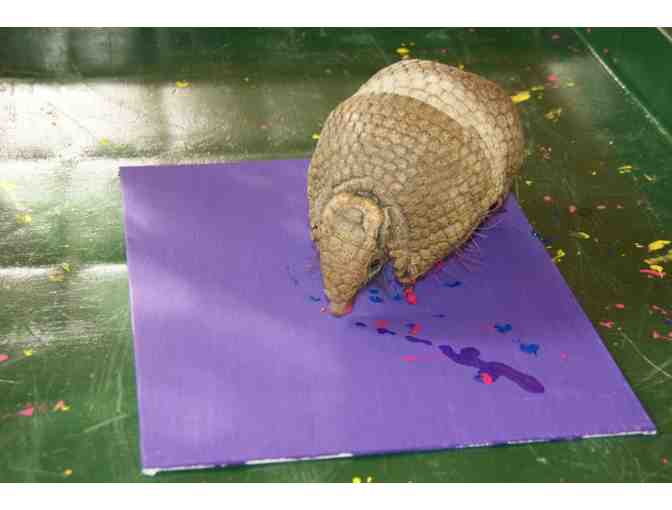 Fantasia by Pele, the Three-Banded Armadillo