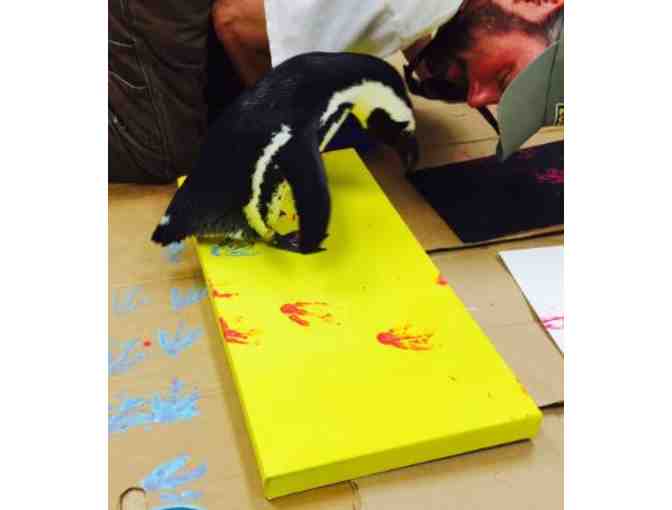Happy Feet by Maddie and Juniper, African Penguins
